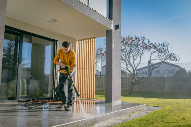 Best Roof Cleaning and Mildew Removal in Amherst, TX